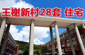 大榭   王榭新村28套住宅